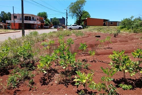 de Propiedad, foto 2