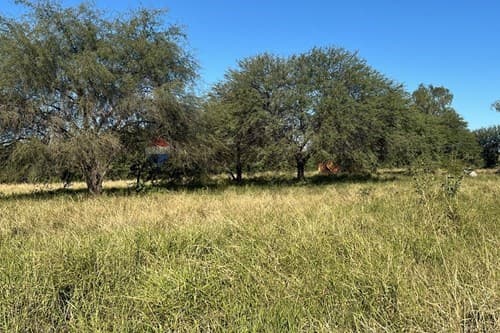 Lotes Comerciales– Cruce Boquerón, Loma Plata, foto 5