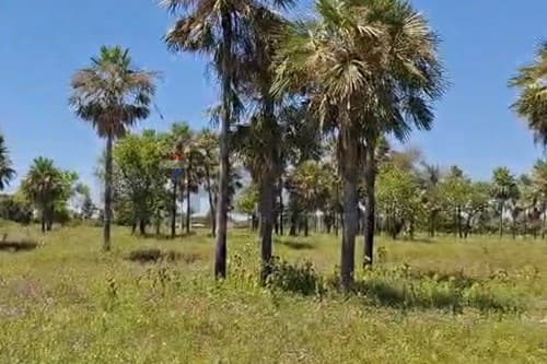 Land for sale in chaco’i – villa hayes — foto 5
