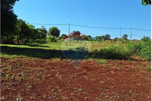 "Terreno Vendo 1958 M2 en Tomás Romero Pereira" — foto 4