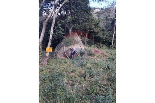 Vendo 2 terrenos juntos en Yaguaron