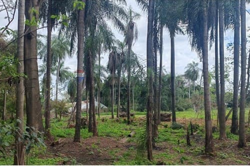 Terreno en venta – cabañas, caacupé, foto 5