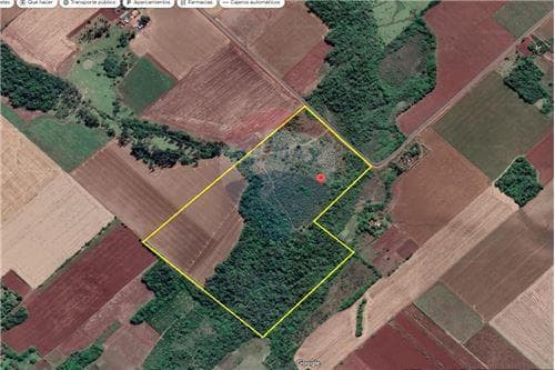 10 hectareas mecanizadas + 13 hectareas de monte
