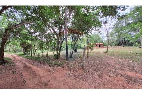 Amplio terreno en venta en dist. De eusebio ayala — foto 3