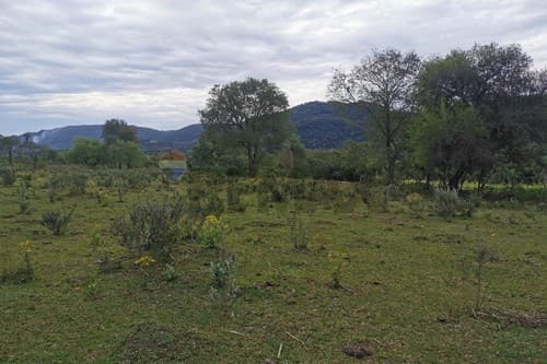 "Terreno en Sapucai: ¡63,000 m² Gran Potencial!", foto 5