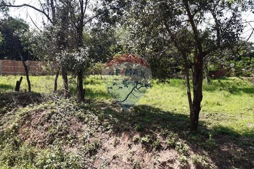 3 TERRENO EN Luque junto o separados — foto 3