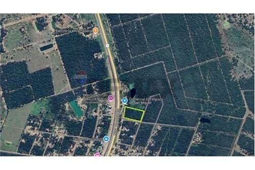 Terreno Industrial en Venta en Rio Verde, ¡Único!, foto 3
