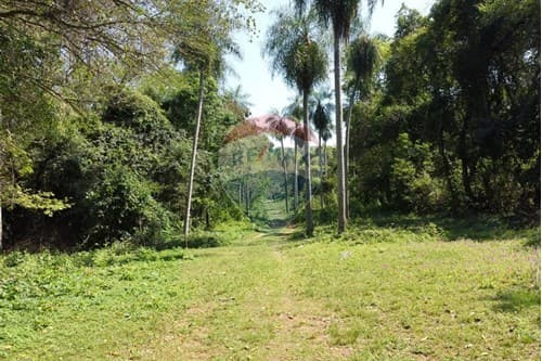 Terreno en San Bernardino la fracción de la gruta, foto 3