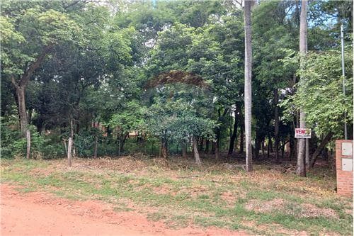 Hermoso Terreno en Mariano Roque Alonso — foto 2