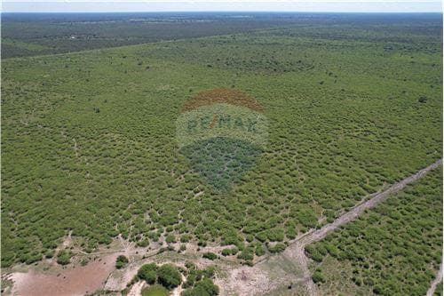 Campo 3.749 Has. 7800 m2- Pte. Hayes Ruta Ñ — foto 5