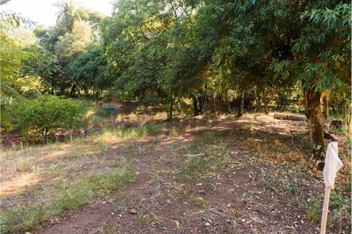 Terreno Frente a la Playa de San Juan del Paraná — foto 5