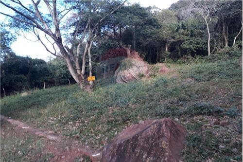 2 terrenos juntos en Yaguaron — foto 2