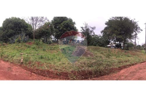 1.4 hectareas en santani, foto 1