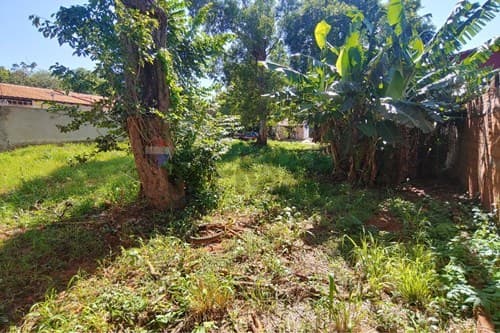 Terreno en San Lorenzo - villa industrial — foto 1