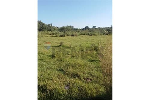En venta 9 hectáreas en coronel bogado, foto 1