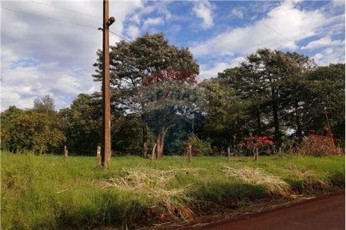 Propiedad agrícola de 4 has con 7.333 m2, foto 4