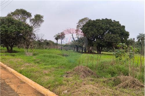10 hectáreas en venta - San Juan del Paraná, foto 3