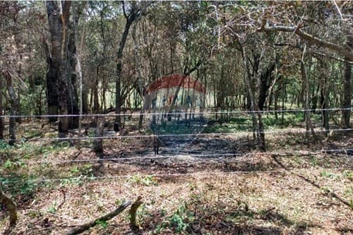 "Tu Refugio Perfecto: Terreno en Piribebuy" — foto 4