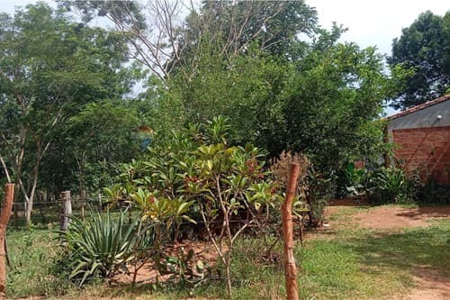 Casa con gran potencial en limpio salado — foto 4