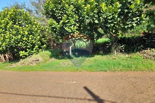 Terreno en zona residencial — foto 3