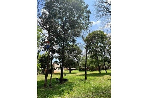 Terreno en esquina - Luque ycua dure-33x42 — foto 5
