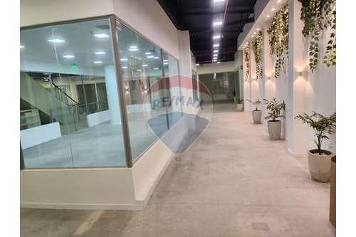 Local comercial galeria en barrio petirossi — foto 5
