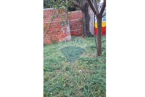 Terreno en Lambaré – ubicación estratégica — foto 5