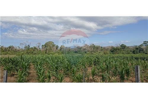vendoTerreno de 70 hectáreas -MBUYAPEY-PARAGUARI — foto 4