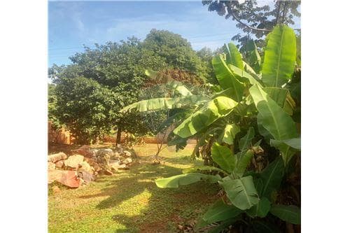 Excelente Oportunidad Vendo Lote en Ñemby — foto 5