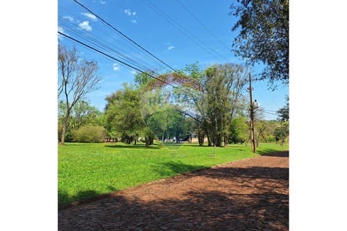 ¡Terrenos en Hohenau: Tranquilidad y Naturaleza!