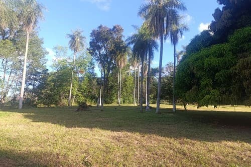 Terreno en Venta en Piribebuy !Inversión Ideal — foto 2