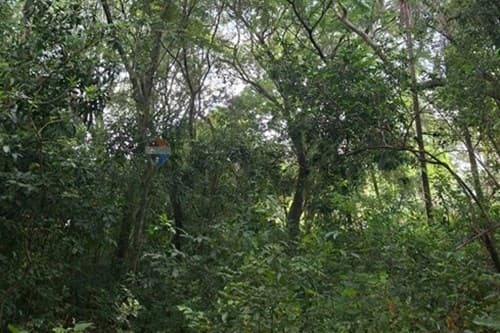 Terreno en Altos: Gran Potencial! — foto 2