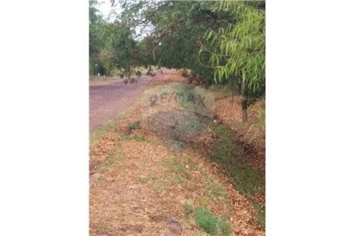 Terreno en esquina, céntrico en San Cosme y Damián — foto 2