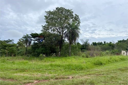 Invierte en Tu Futuro: Terreno en Venta — foto 5