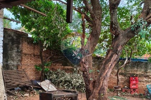 Terreno Ideal en Lambaré: ¡Inversión Segura! — foto 3