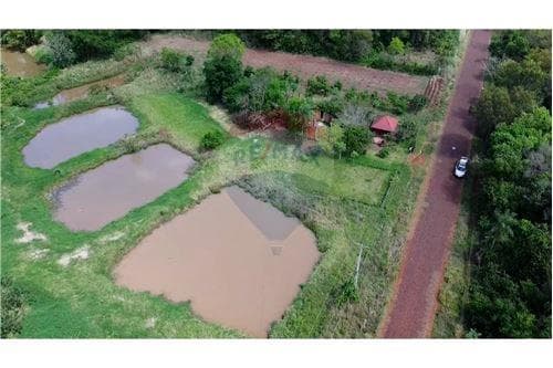 Terreno de 10.000 m² en venta en itapua — foto 4