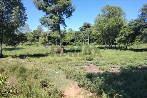 En venta hectareas — foto 5