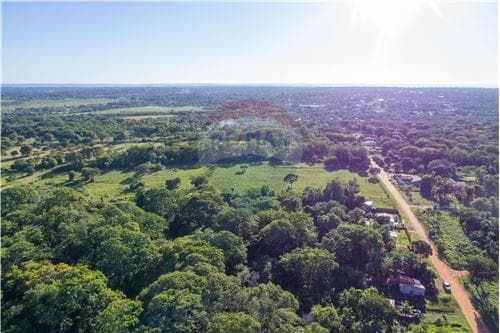 En venta – terreno de 3 hectáreas en Luque — foto 2