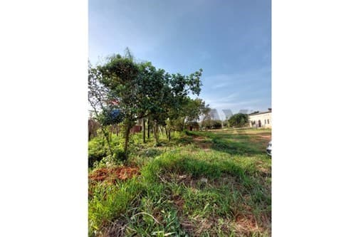 Vendo 3 terrenos en ypané