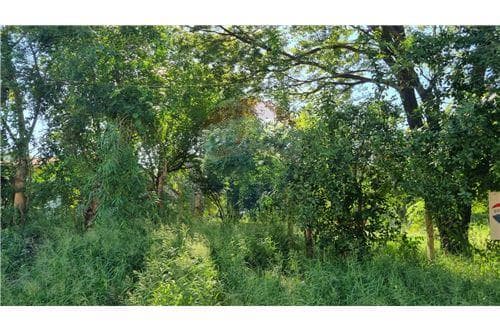 terreno en esquina Puerto Pabla- Lambaré — foto 3