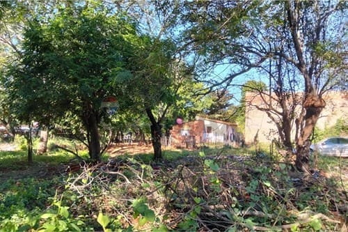 Terreno en Limpio, Zona Don Bosco, foto 5