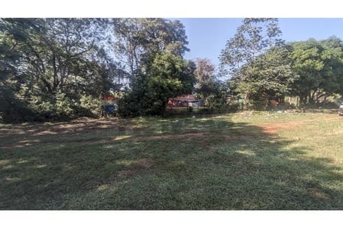 Terreno en Luque, Marin Ka'aguy — foto 4
