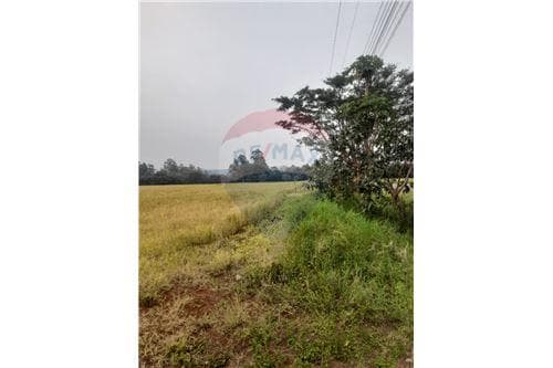 Terreno para inversion en venta - la paz - itapua — foto 2
