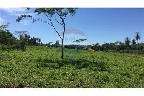 2 Terrenos juntos en J. A. Saldivar