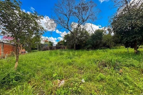 Amplio terreno en san antonio/Villa Elisa, foto 2