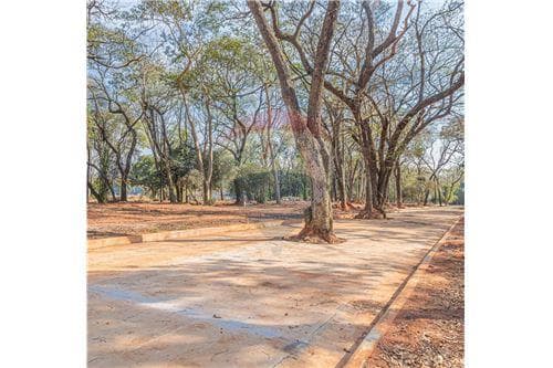 La Soñada Condominio, foto 4