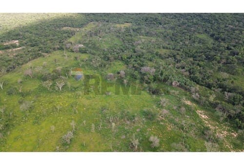 ✨ Estancia Ramonita de 368 hás. en Ybycuí ✨ — foto 5