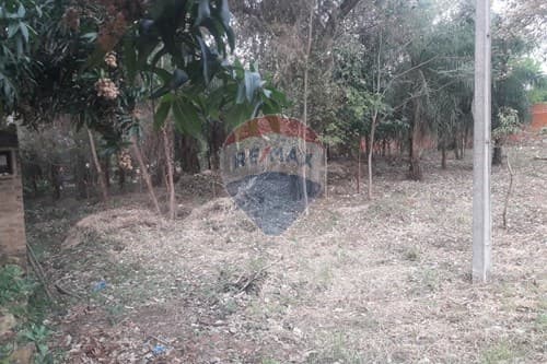 Terreno 1240m2 sobre ruta emboscada-nueva colombia — foto 3