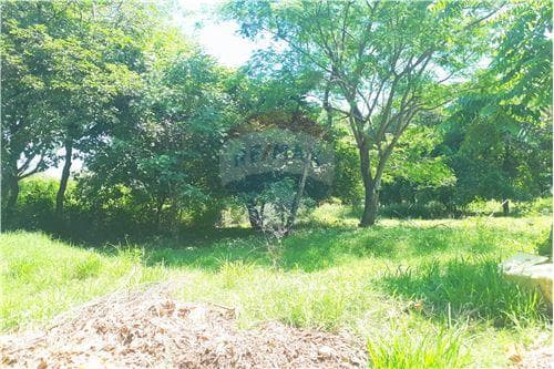 Terreno. MRA. Zona Remanso — foto 5
