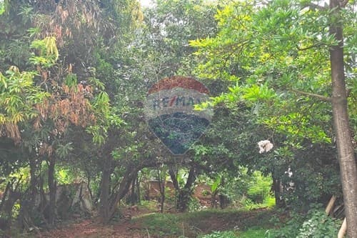 Terreno en Ñemby a mertos de acceso sur — foto 4
